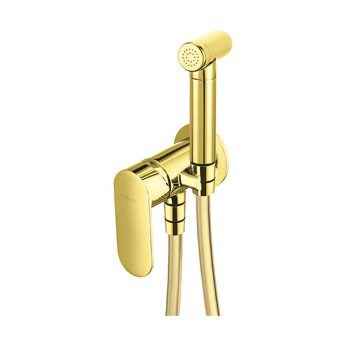 Deante Alpinia Gold Смеситель скрытого монтажа с гигиеническим душем, золото